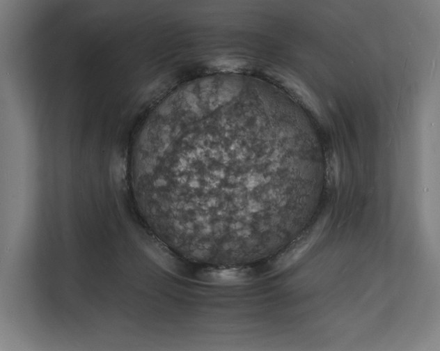 X0000112150365200908211419