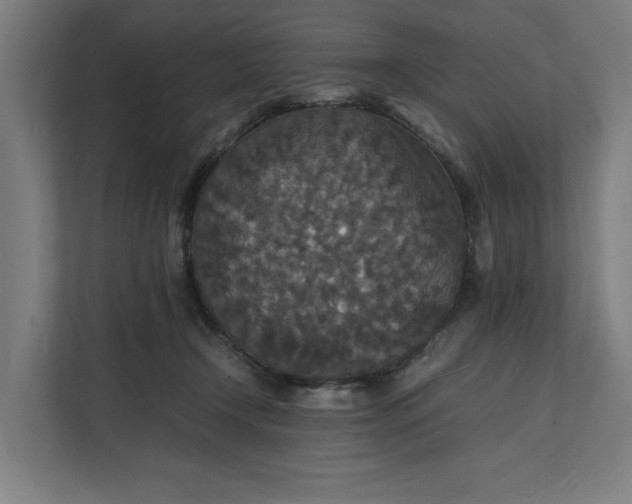 X0000112150366200908211419
