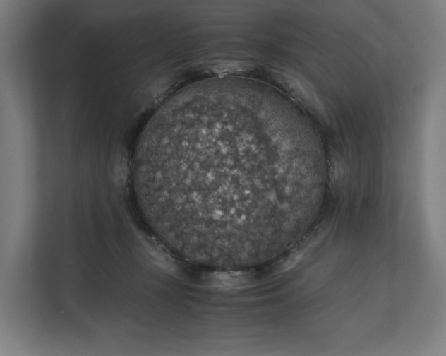 X0000112150367200908211419