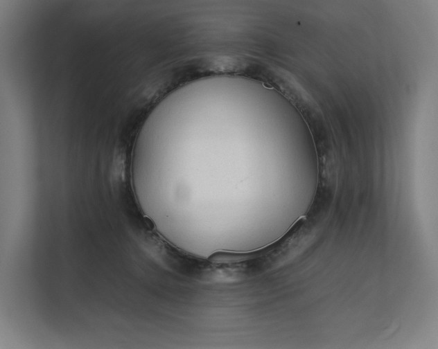 X0000112150368200908211419
