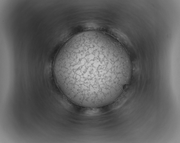 X0000112150369200908211419