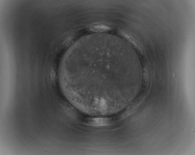 X0000112150371200908211419