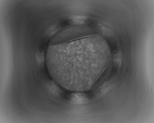 X0000112150372200908211419