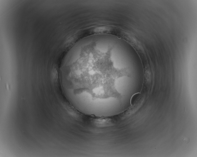 X0000112150375200908211419