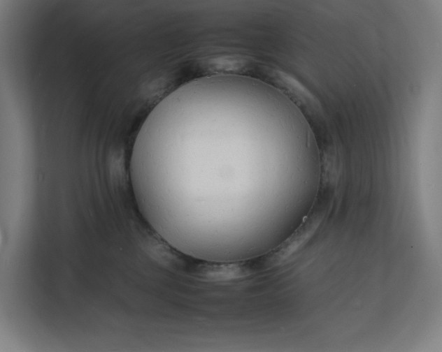 X0000112150377200908211419