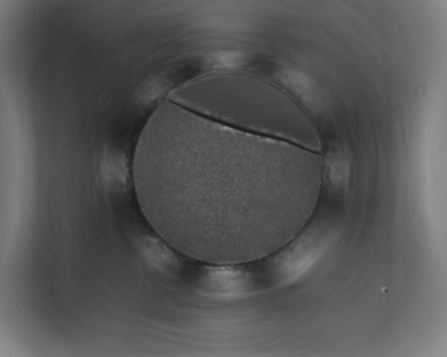 X0000112150380200908211419