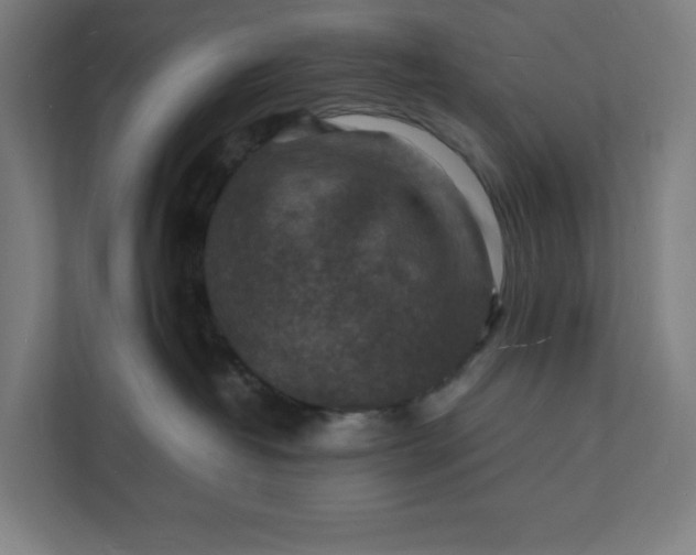 X0000112150382200908211419