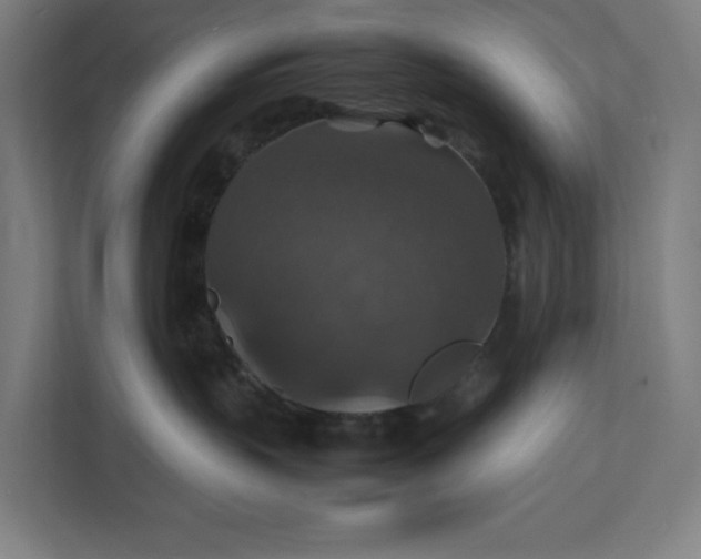 X0000112150383200908211419