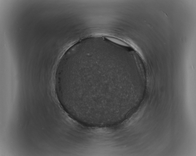 X0000112150385200908211418