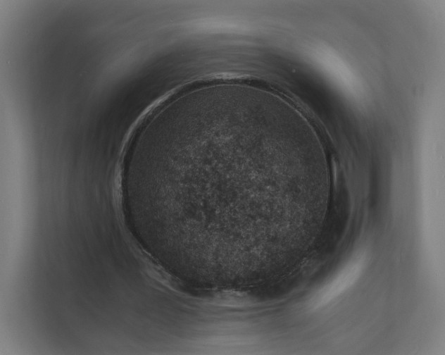 X0000112150387200908211418