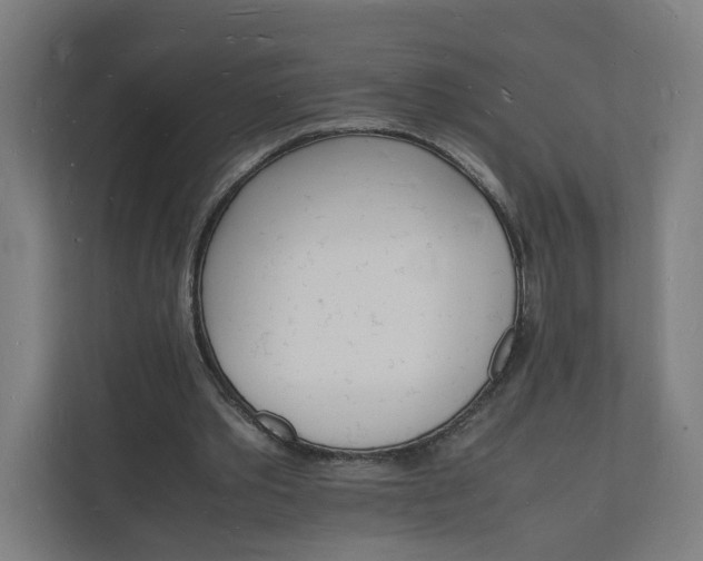 X0000112150389200908211418