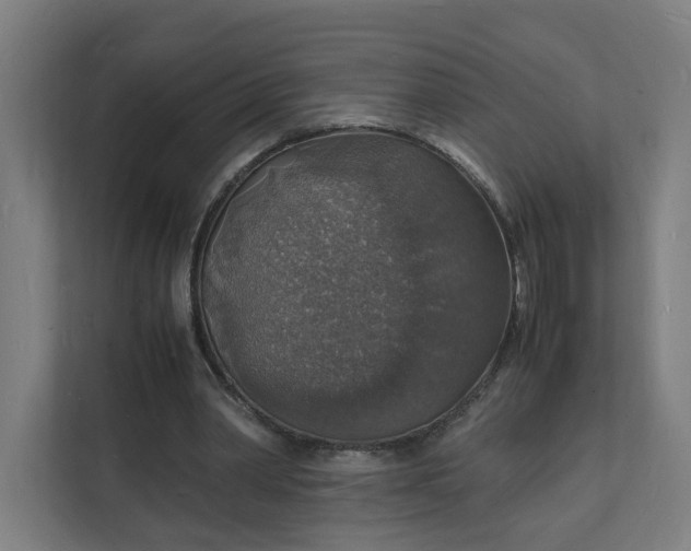 X0000112150390200908211418