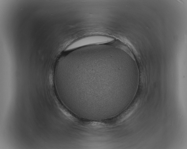 X0000112150393200908211418