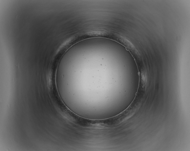 X0000112150396200908211418