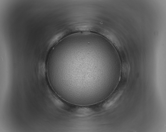 X0000112150397200908211418