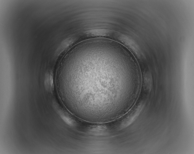 X0000112150398200908211418