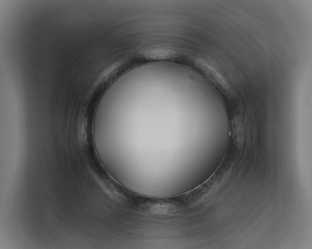 X0000112150400200908211418
