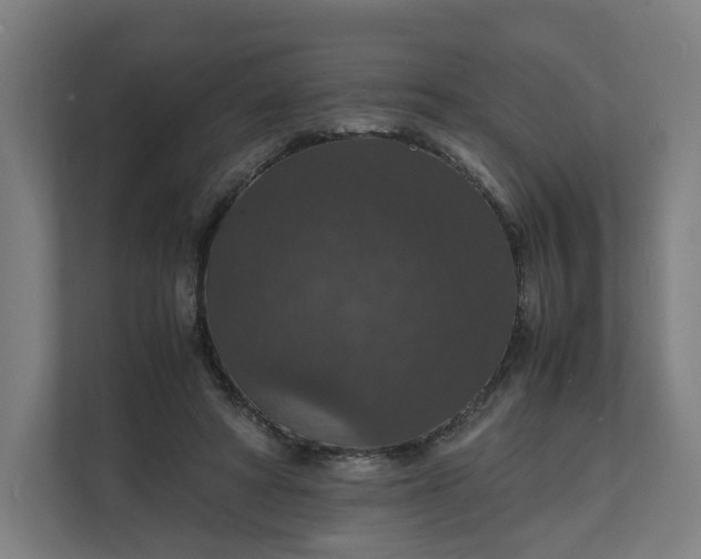 X0000112150402200908211418