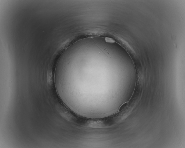 X0000112150403200908211418