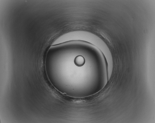 X0000112150407200908211418
