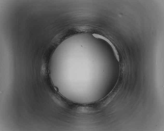 X0000112150408200908211418
