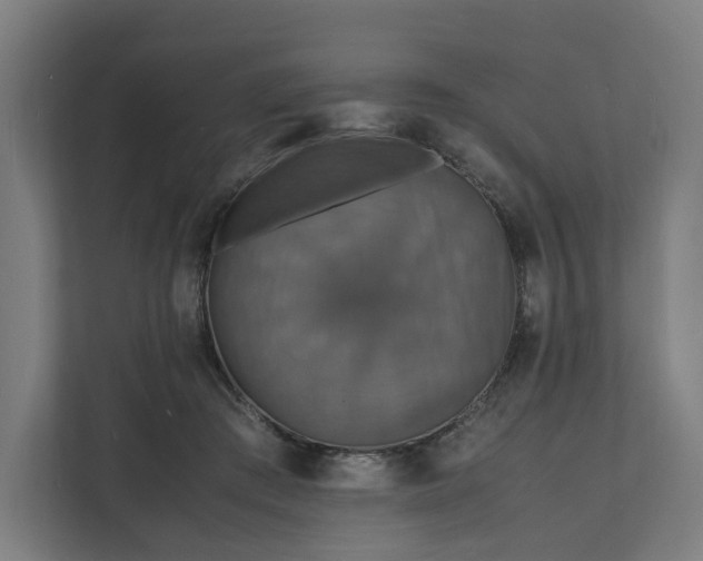 X0000112150409200908211418