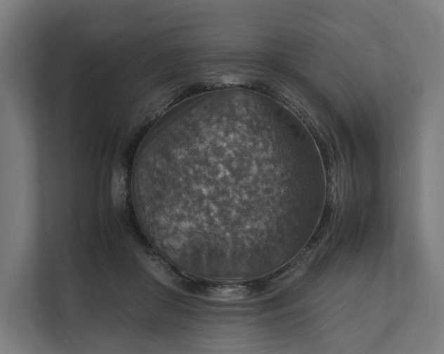 X0000112150410200908211418