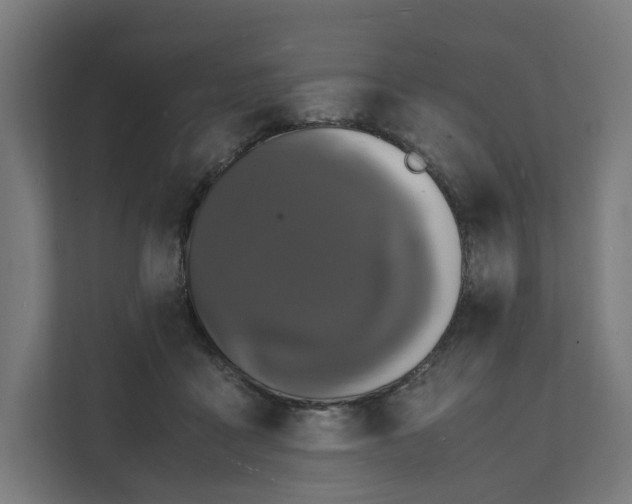 X0000112150411200908211418