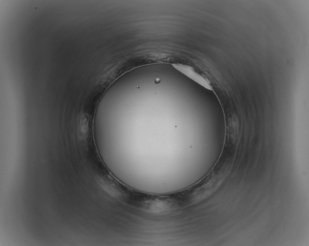 X0000112150412200908211418