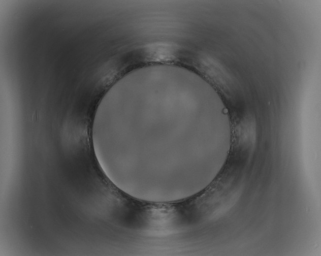 X0000112150415200908211418