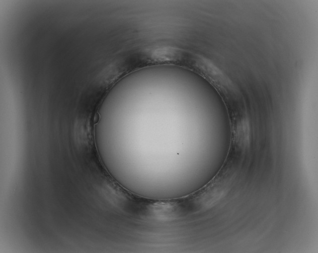 X0000112150418200908211418