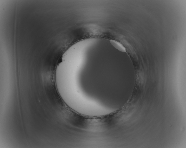 X0000112150419200908211418