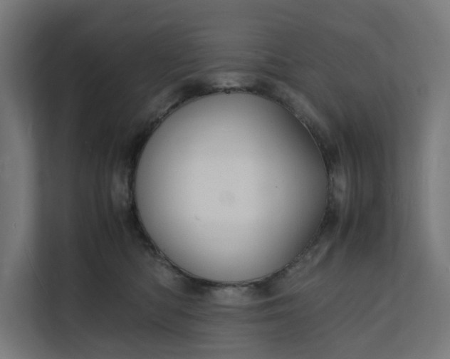 X0000112150422200908211418