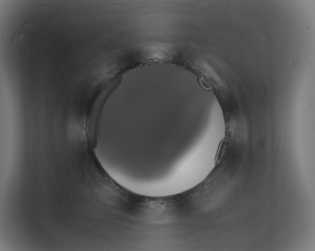 X0000112150423200908211418
