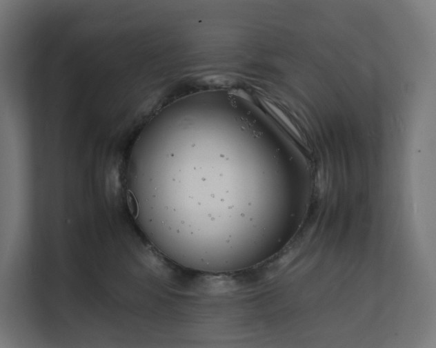 X0000112150424200908211418