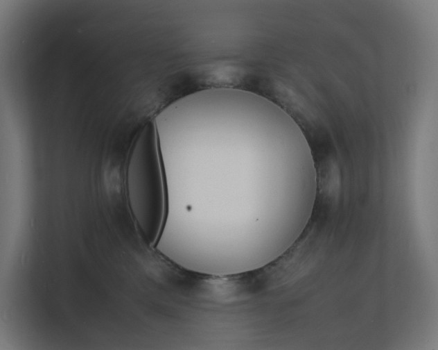 X0000112150425200908211418