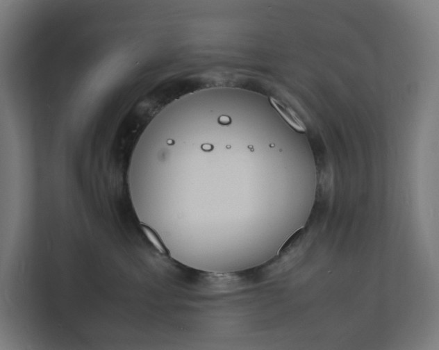 X0000112150429200908211418