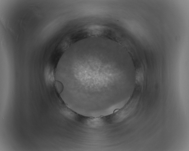 X0000112150431200908211418