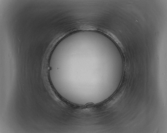 X0000112150433200908211417