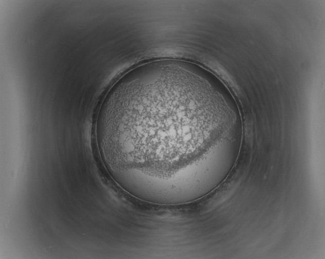 X0000112150434200908211417