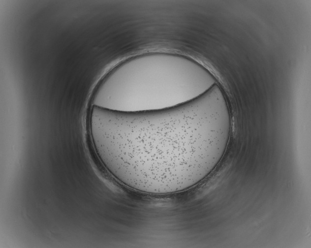 X0000112150438200908211417