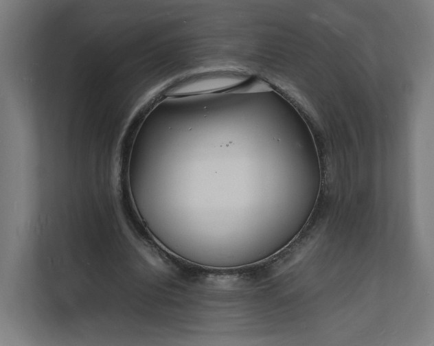 X0000112150440200908211417