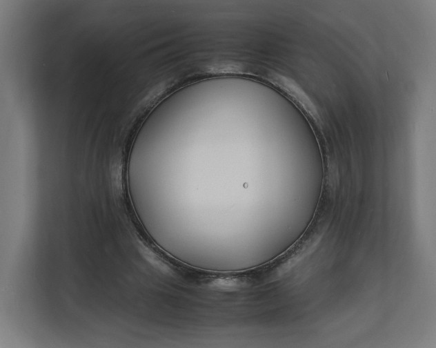X0000112150441200908211417