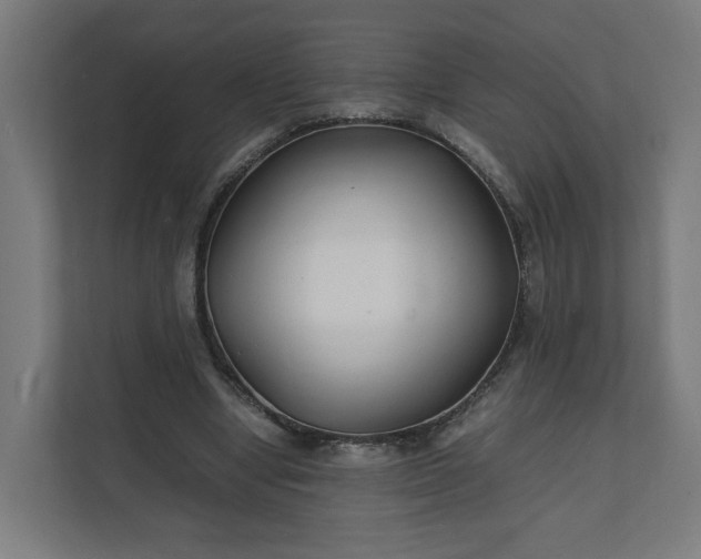 X0000112150442200908211417