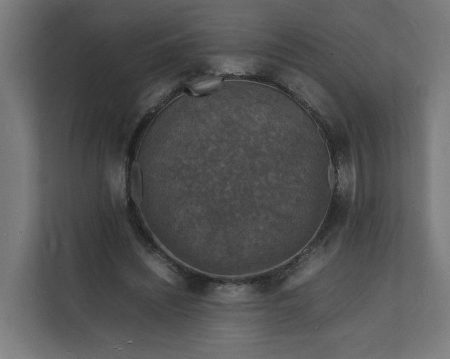 X0000112150444200908211417