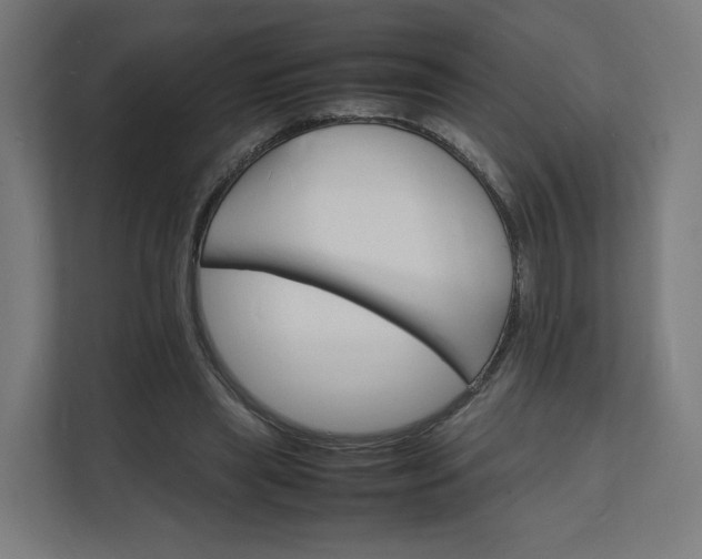 X0000112150445200908211417