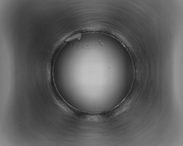 X0000112150446200908211417