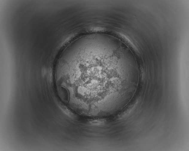 X0000112150447200908211417