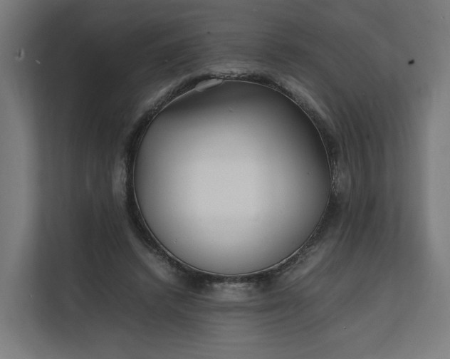 X0000112150448200908211417