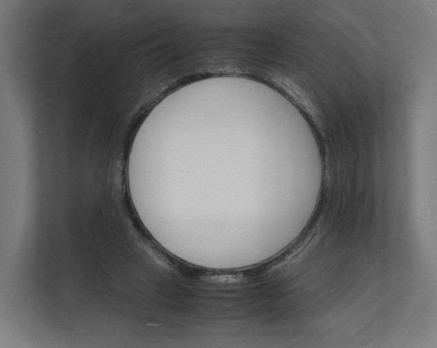 X0000112150449200908211417